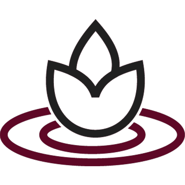 iconita masaj de relaxare