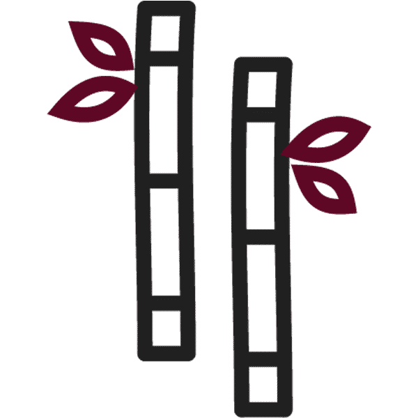 iconita masajul scoliozei